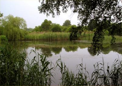 Pond at Gardners Park