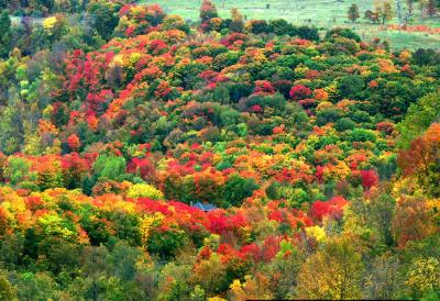rainbow of colors