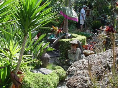 The rear garden has a network of narrow gravel paths, rocks, clusters of yuccas, topiary, sculptures all cheek-by-jowl