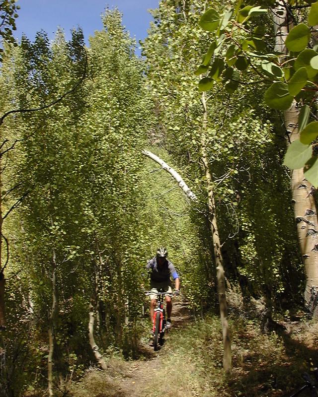 Aspen Tunnel