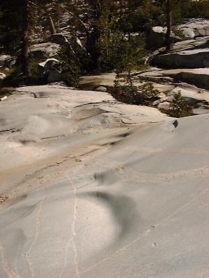 Glacial Polish in Pine Creek Canyon