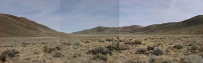 Cowhorn Valley, Inyo Mountains