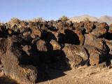 Lava and Lichens, Fossil Falls