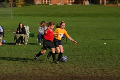 255_5518.jpg