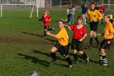 255_5525.jpg