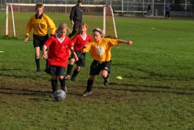 255_5531.jpg