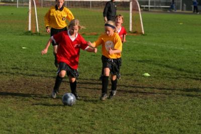 255_5532.jpg