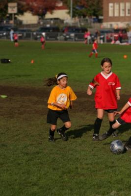 255_5547.jpg