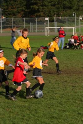 255_5548.jpg