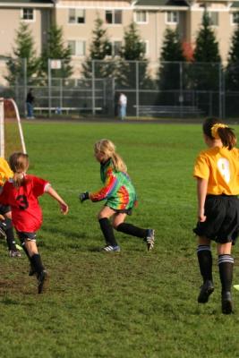 255_5549.jpg