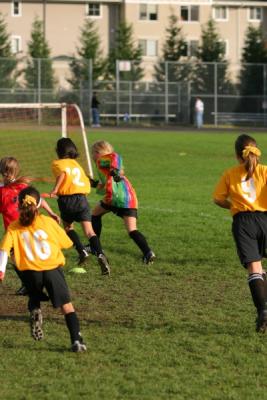 255_5550.jpg