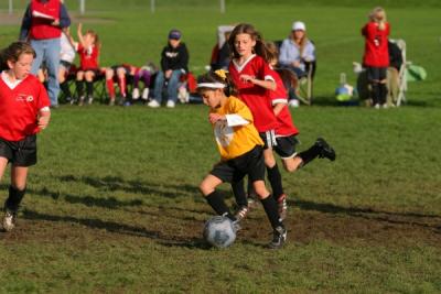 255_5552.jpg