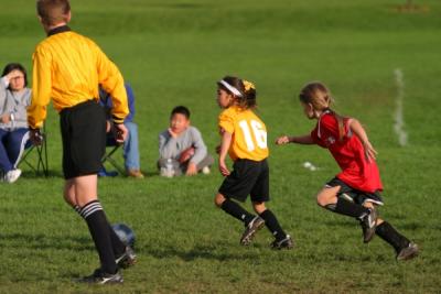 255_5555.jpg
