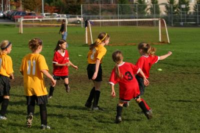 255_5560.jpg