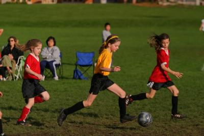 255_5561.jpg