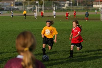 255_5570.jpg