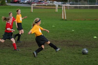 255_5582.jpg