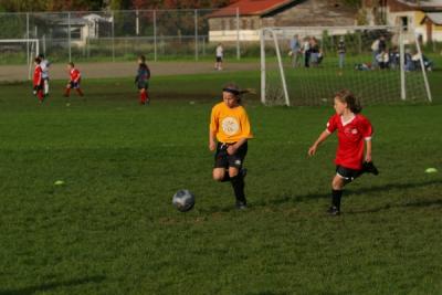 255_5592.jpg