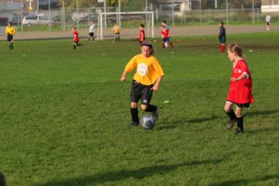 255_5593.jpg