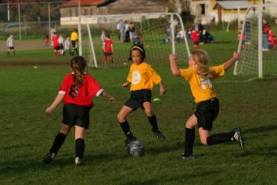 256_5613.jpg