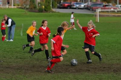 256_5646.jpg
