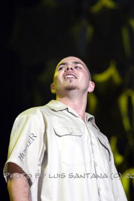 Pitbull