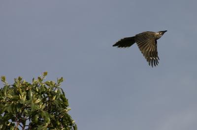 IMG_8000-small.jpg