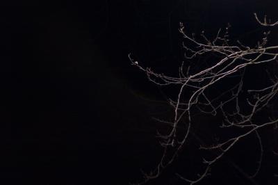 Minimal