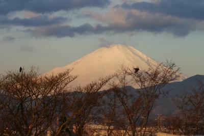 Mt. Fuji, Feb 22,  2005