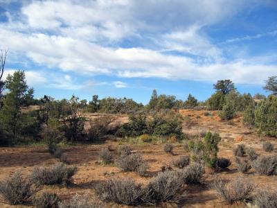 View to the back (west) of the lot