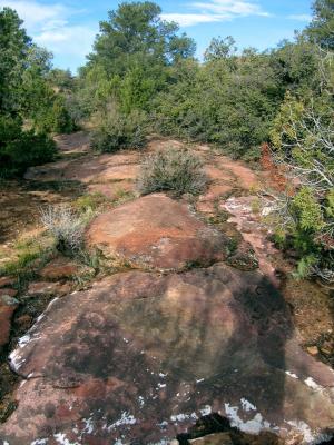 Beautiful rocks to the left of the driveway area