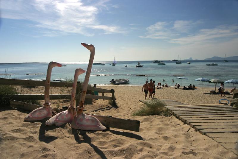 Schoppis Flamingos am Tiburon (Ex Haifischbar)