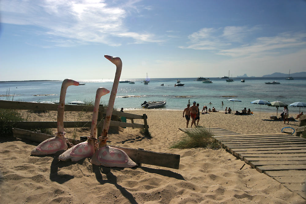 Schoppis Flamingos am Tiburon (Ex Haifischbar)