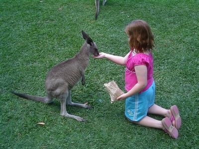 Steve Irwin's Australia Zoo