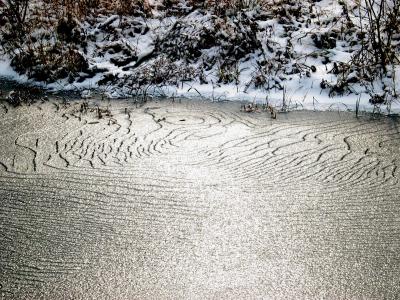 Overnight in the twenties....ice formed.