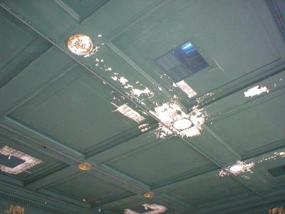 P1010024.JPG