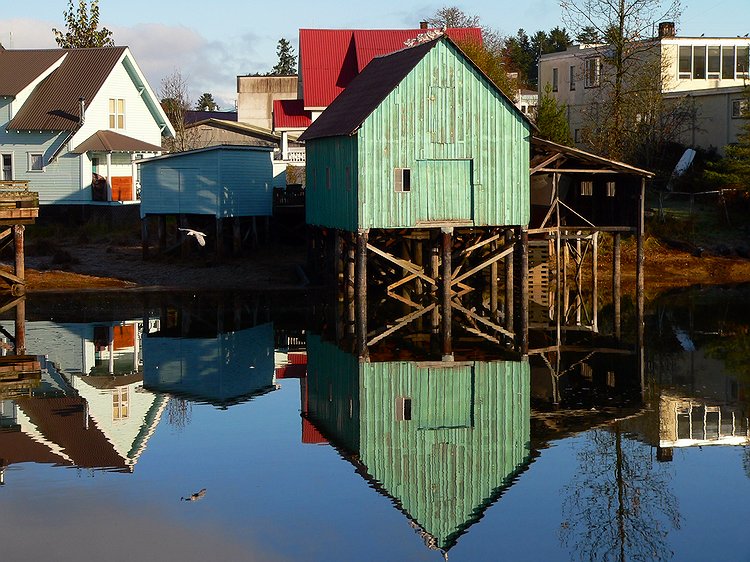 Petersburg Reflection