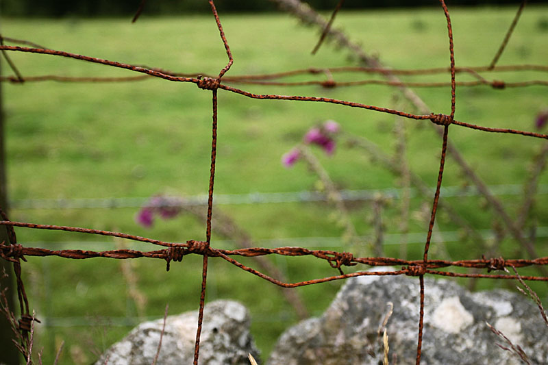Jul 1: Rusty fence