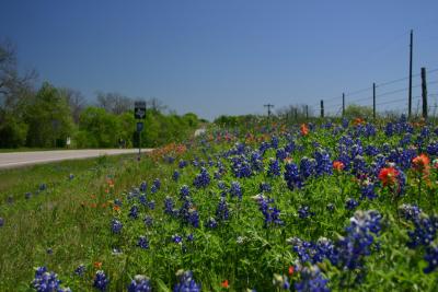 Roadside Display along Texas FM 1155