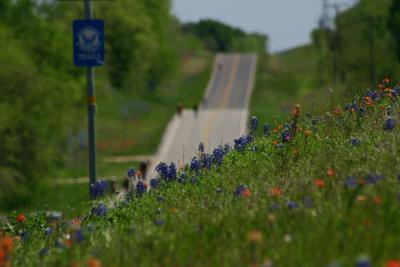 Roadside Display 3 - Playing with depth of field