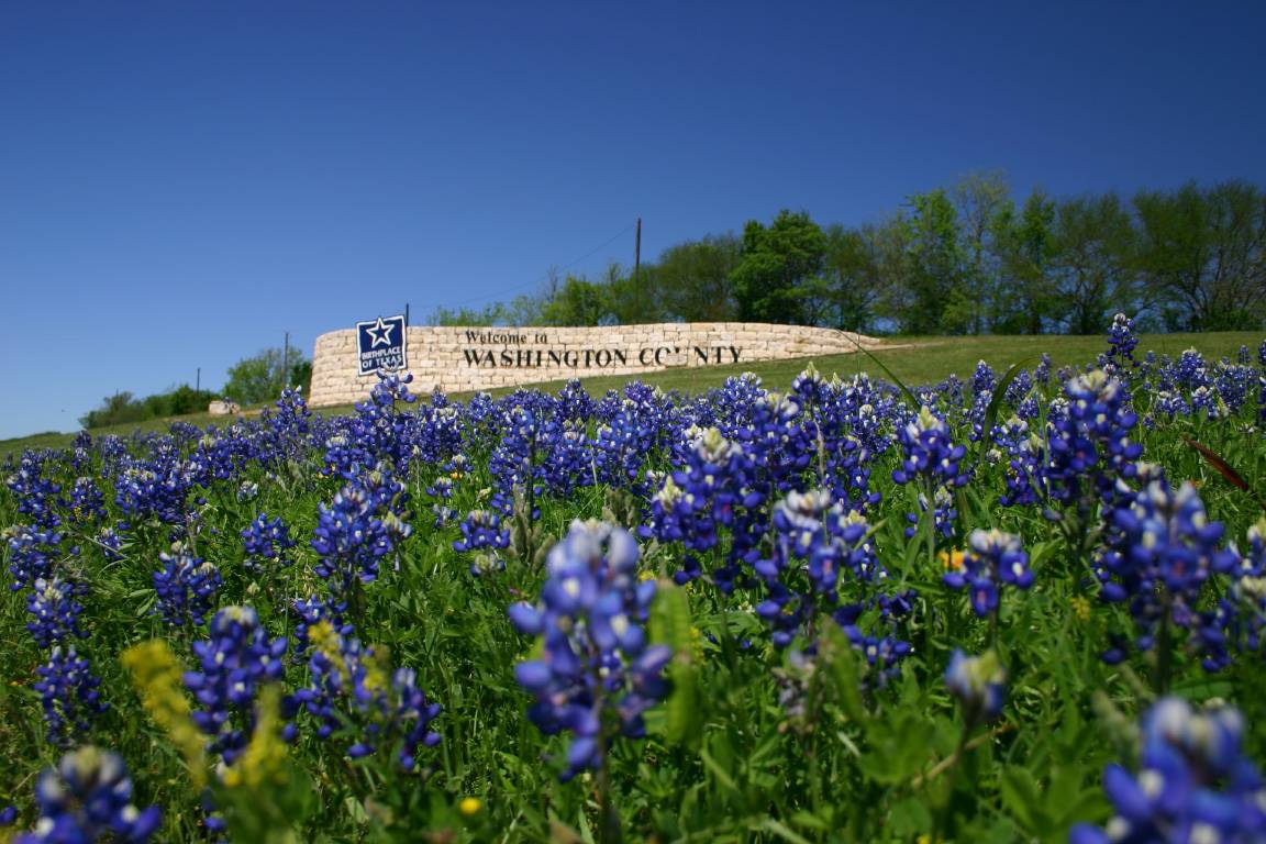 And let the bluebonnets thrive....