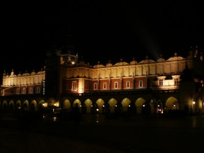 Krakow night castle