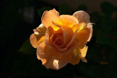 CRW_1098.jpg