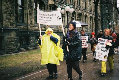 Anti BSL Demo