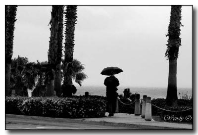 Umbrella
