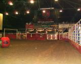 Bull Arena