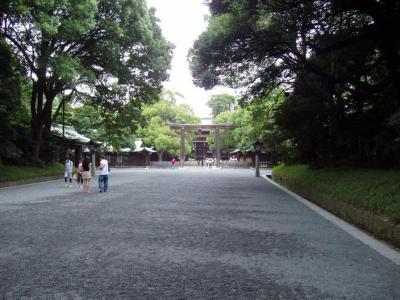 The broad, shady path leading up to Meiji Shrine