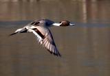 IMG_7521.jpg
