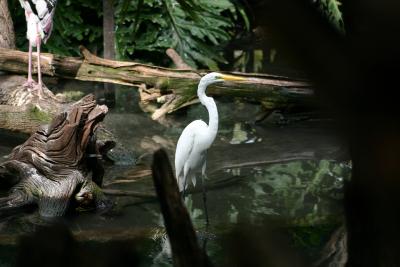SA_Zoo_2004 042.jpg