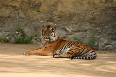 SA_Zoo_2004 078.jpg
